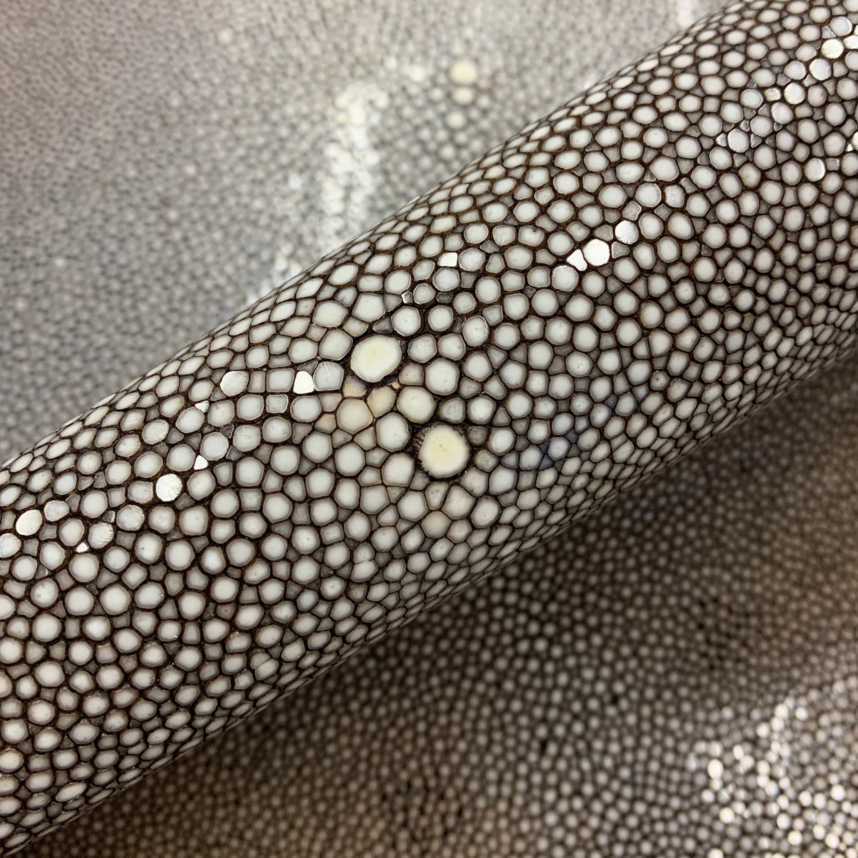 Brown Stingray skin hide fish skin