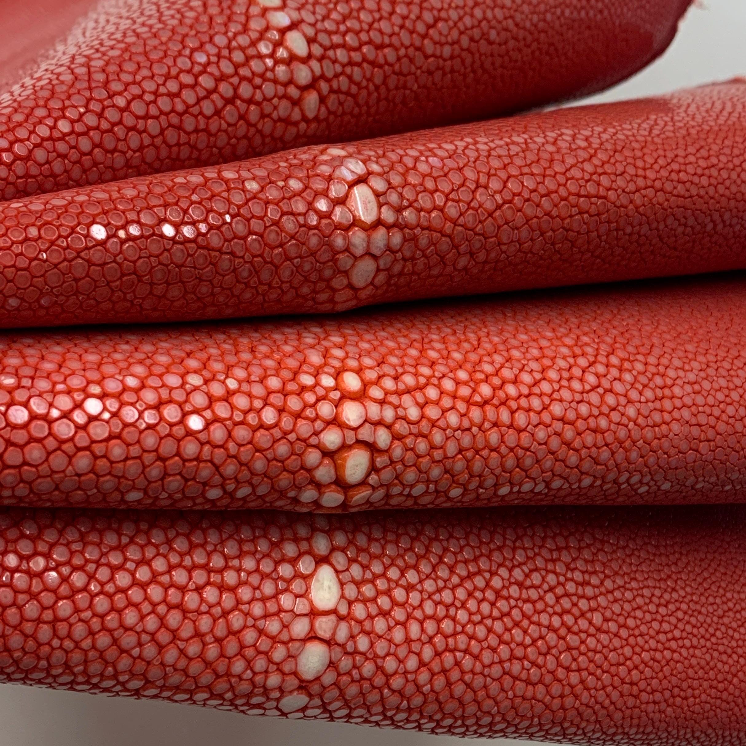 Stingray Red skin leather fish hide coral orange pink Natural, polished surface, for bracelets chokers wallets purses watch strap
