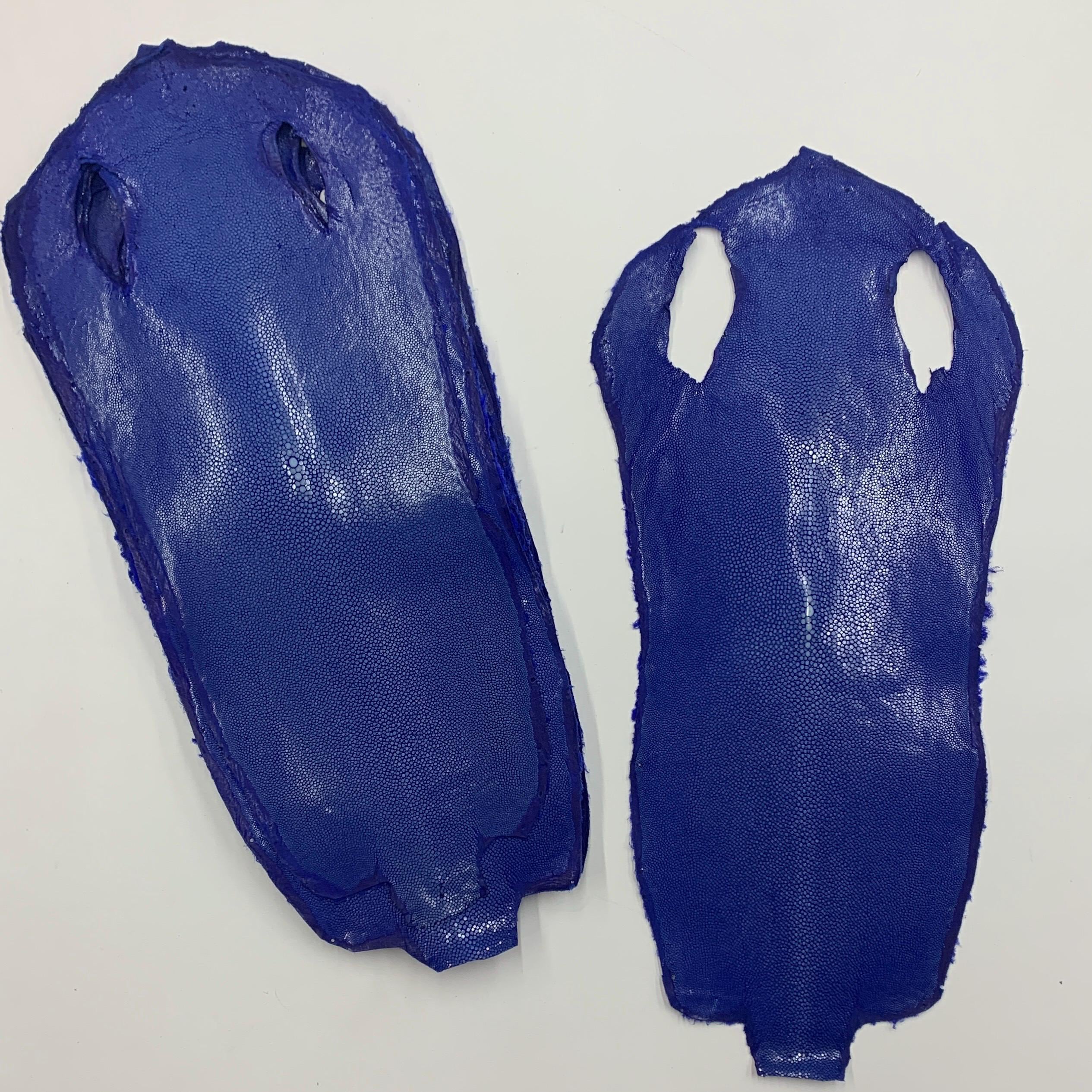 Stingray Blue skin leather fish hide indigo royal Natural, polished surface, for bracelets chokers wallets purses watch strap