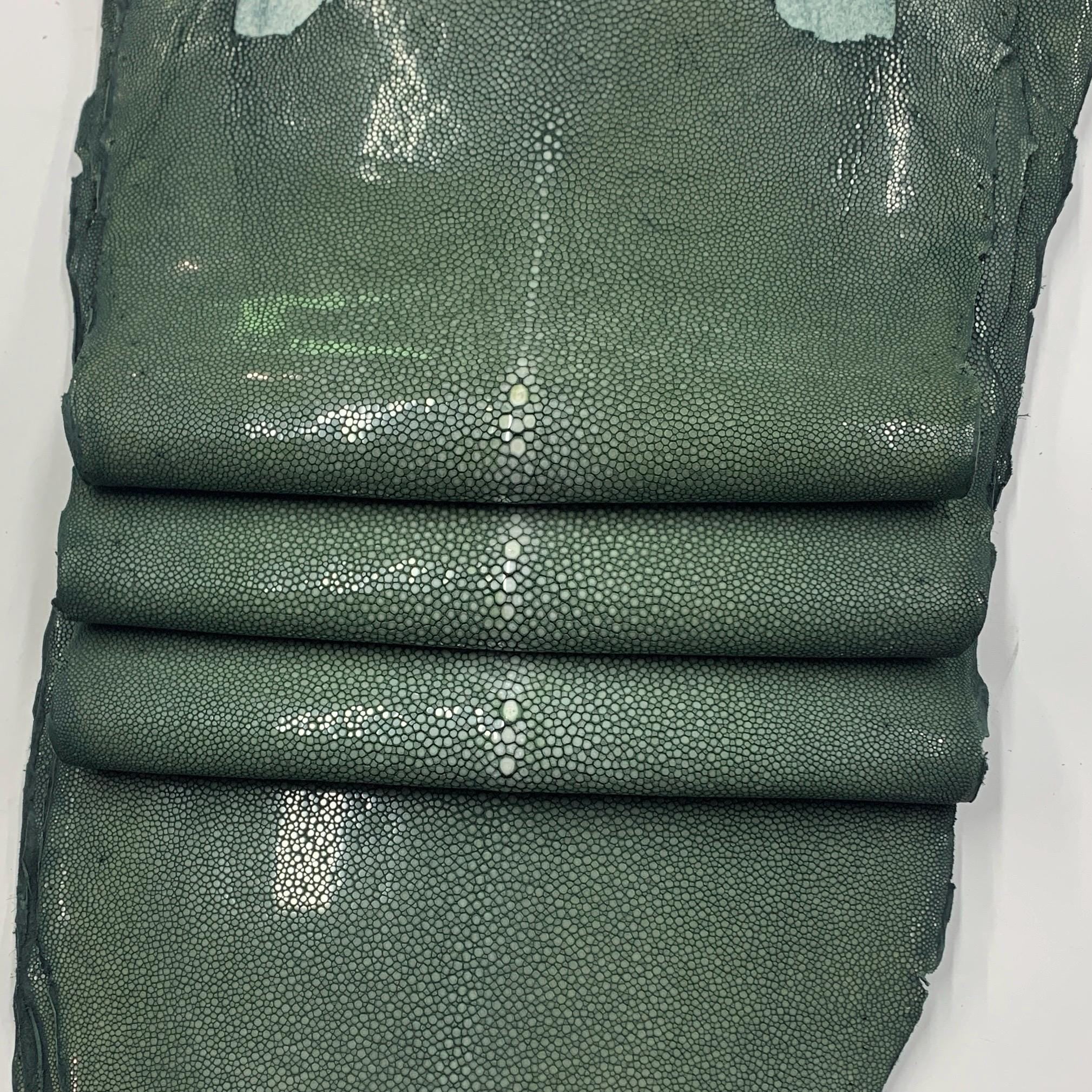 Green Stingray skin leather hide fish Natural, polished surface, for bracelets chokers wallets purses watch strap luxurious