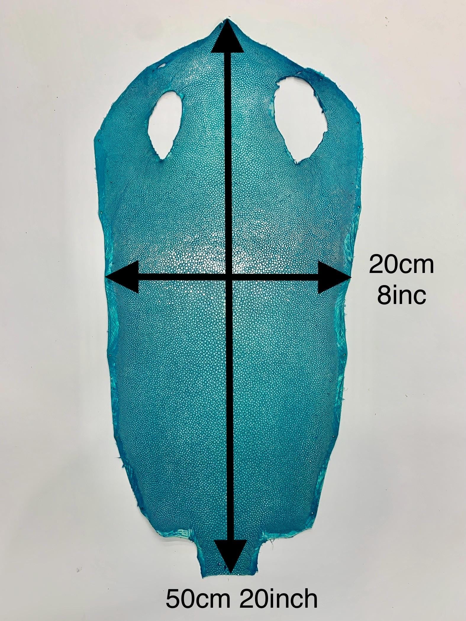 Stingray Turquoise skin leather fish hide green blue Natural, polished surface, for bracelets chokers wallets purses watch strap