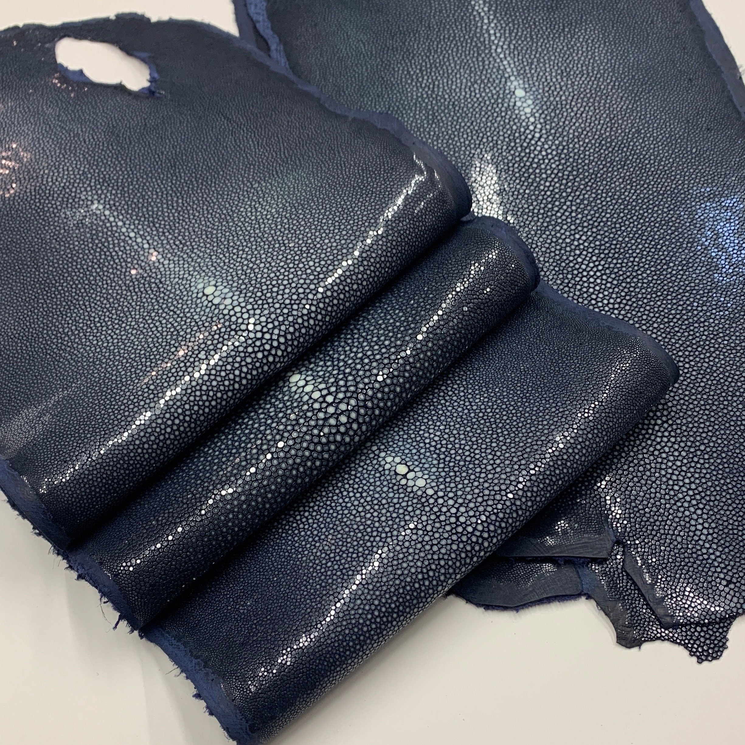 Navy blue Stingray skin | Polished surface