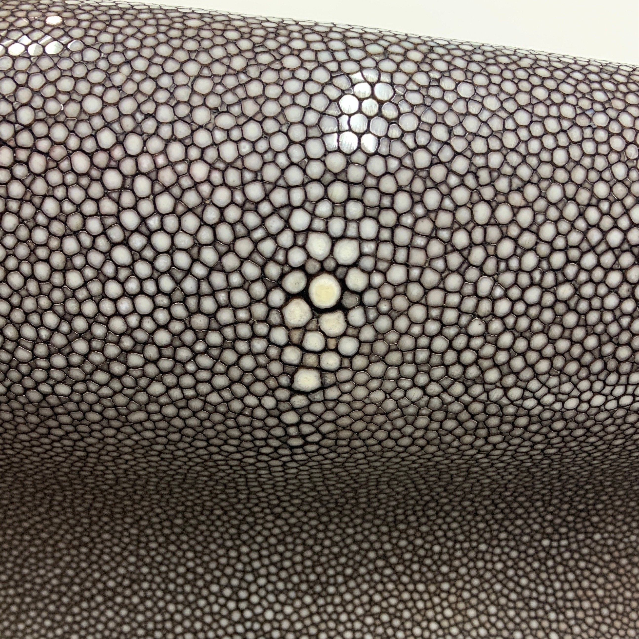 Brown Stingray skin hide fish skin