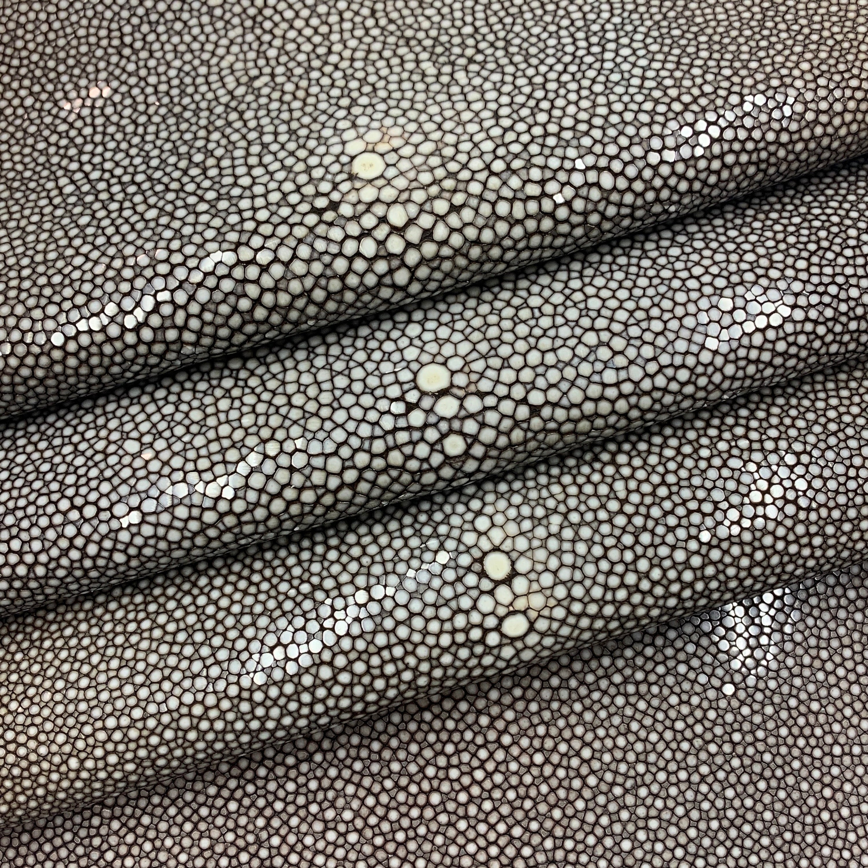 Brown Stingray skin hide fish skin