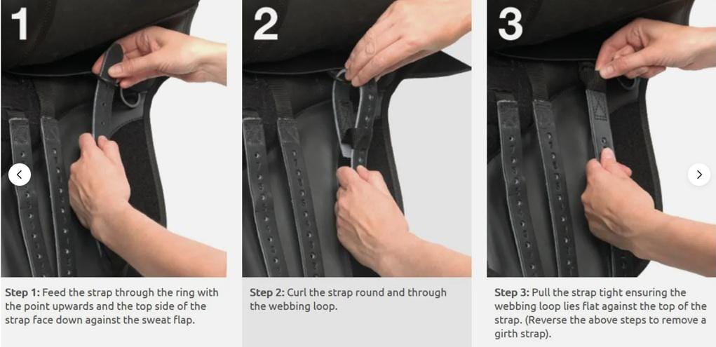 Saddle Replacement Leather Girth Straps 1 Pair Black Or Brown