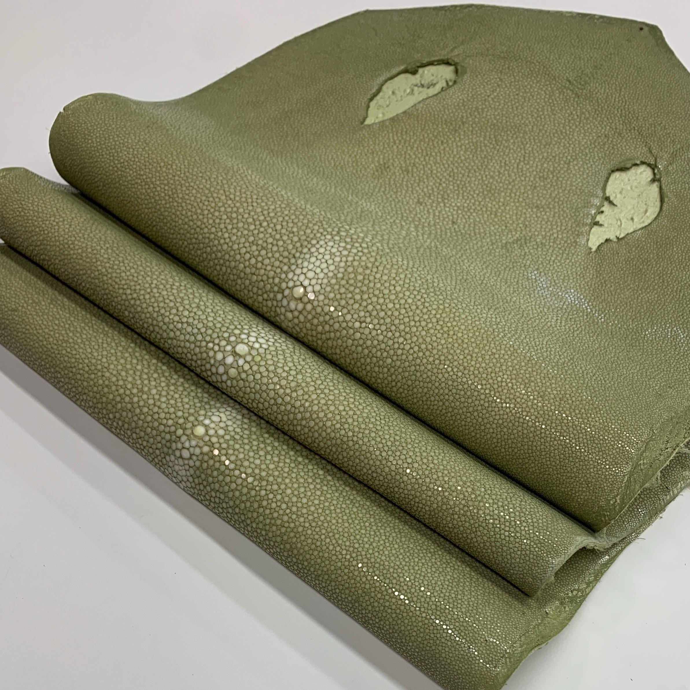 Light Green Stingray skin leather hide fish Natural, polished surface, for bracelets chokers wallets purses watch strap luxurious