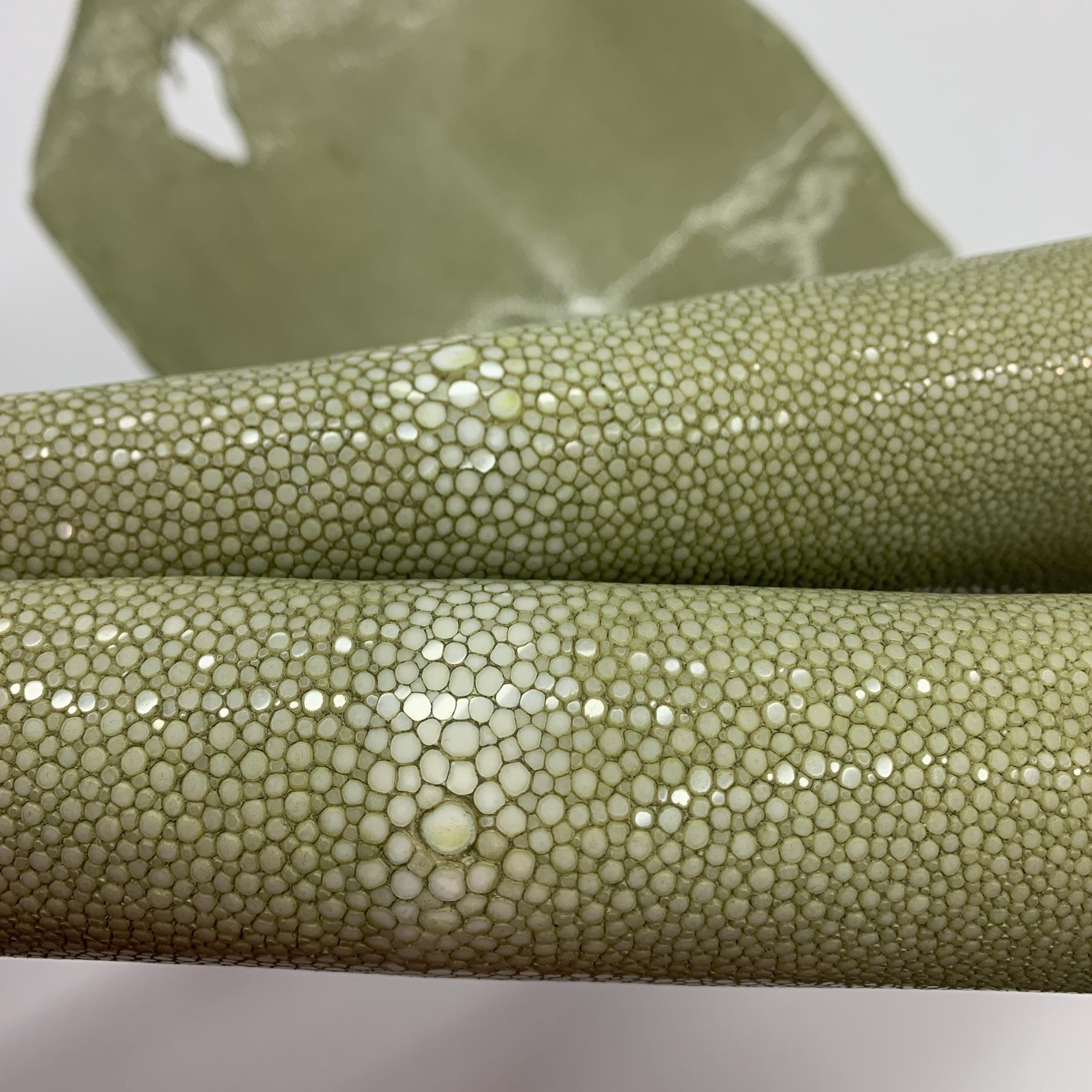 Light Green Stingray skin leather hide fish Natural, polished surface, for bracelets chokers wallets purses watch strap luxurious